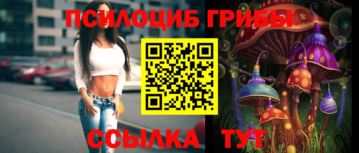 Псилоцибиновые грибы ЛСД Чайковский