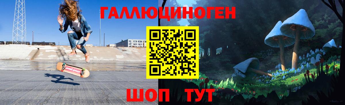 Чайковский  Галлюциногенные грибы MAGIC MUSHROOMS  Вход с VPN 